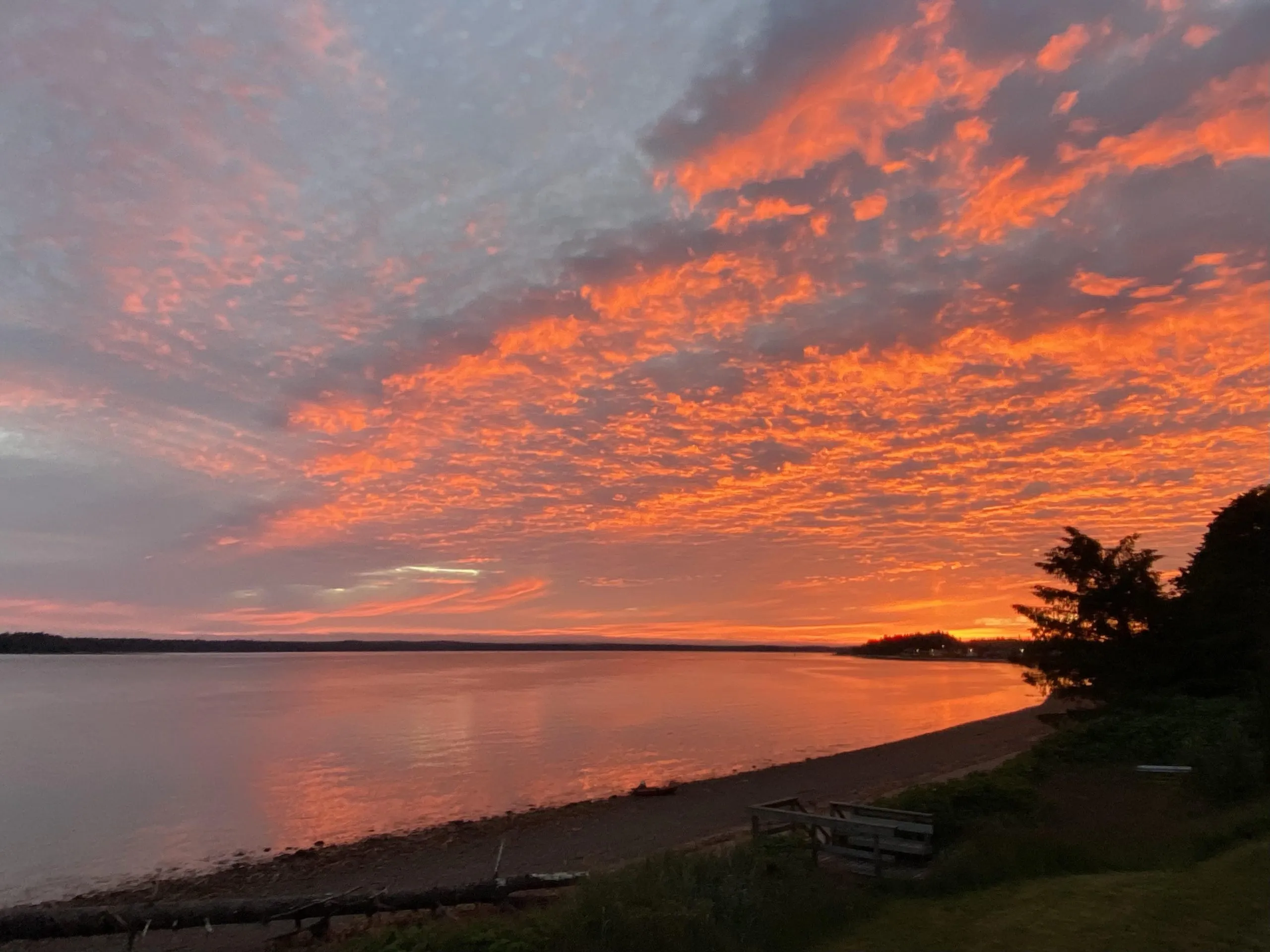 Massett Sunset